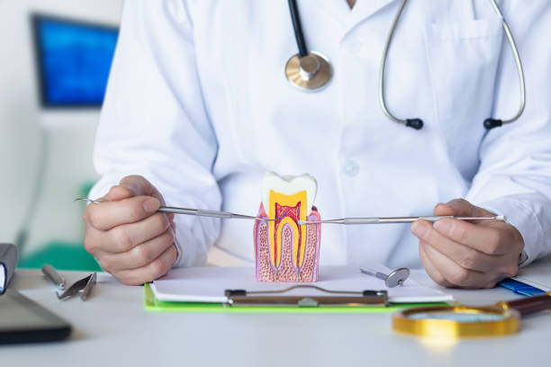 Best Emergency TMJ Treatment in Mcconnellstown, PA